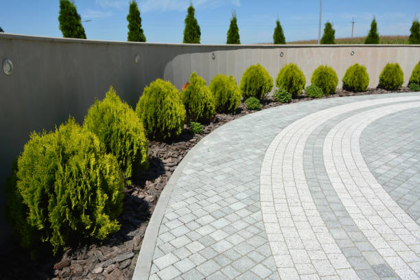 Best Local Driveway Pavers  in Boiling Springs, SC
